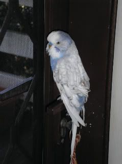 DeconDoor-1.jpg
