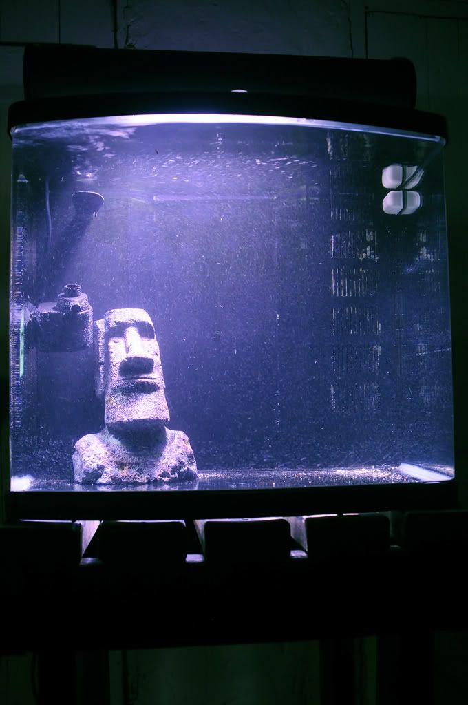 aquarium10 - Argent's 24G Aquapod HQI upgrade...