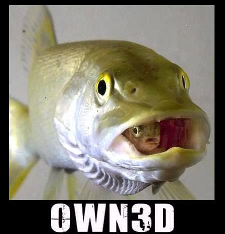 owned-fishy5B15D.jpg