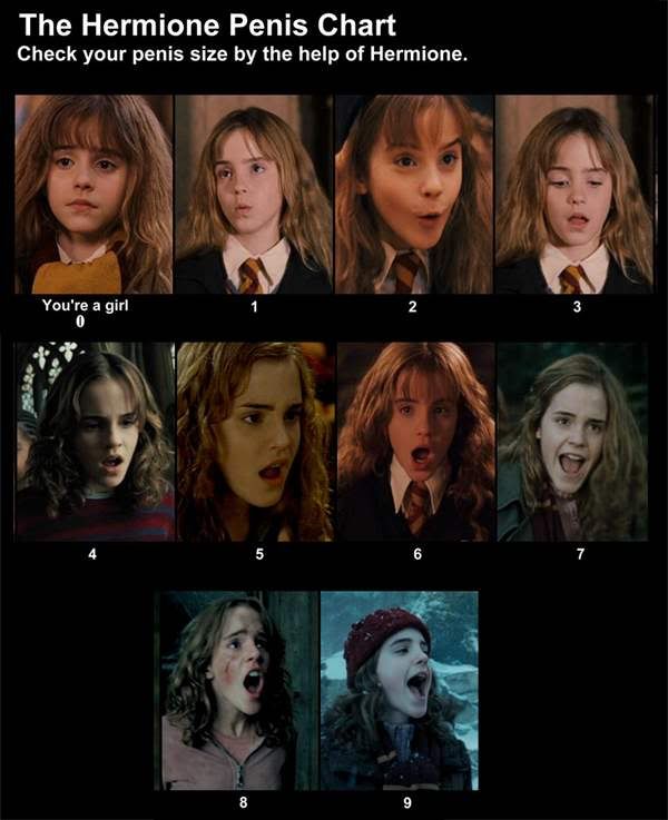 hermione chart