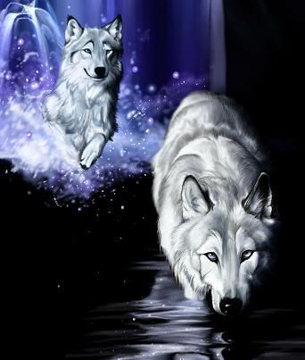 WaterWolves.jpg picture by twoeagle