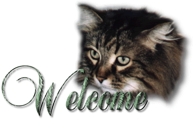 d-Welcome.gif picture by twoeagle
