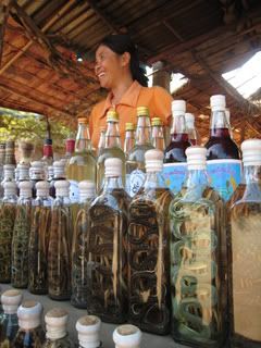 snake wine