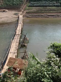 bamboo bridge