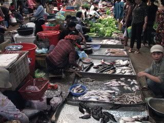 wet market @ Paasar Chaa