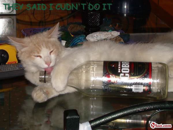  Image provide By: http://www.glitters.nkut.com/