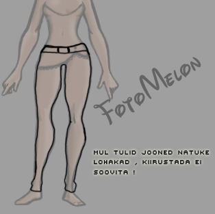 http://i156.photobucket.com/albums/t15/kilpkonnu/FotoMelonV6is1.png