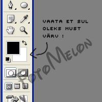 http://i156.photobucket.com/albums/t15/kilpkonnu/FotoMelonVpic3.png
