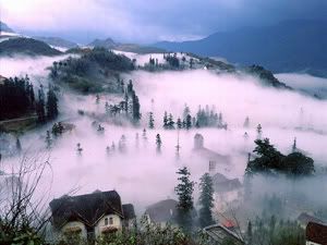 sapa.jpg