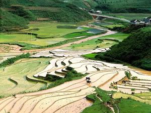 sapa1.jpg