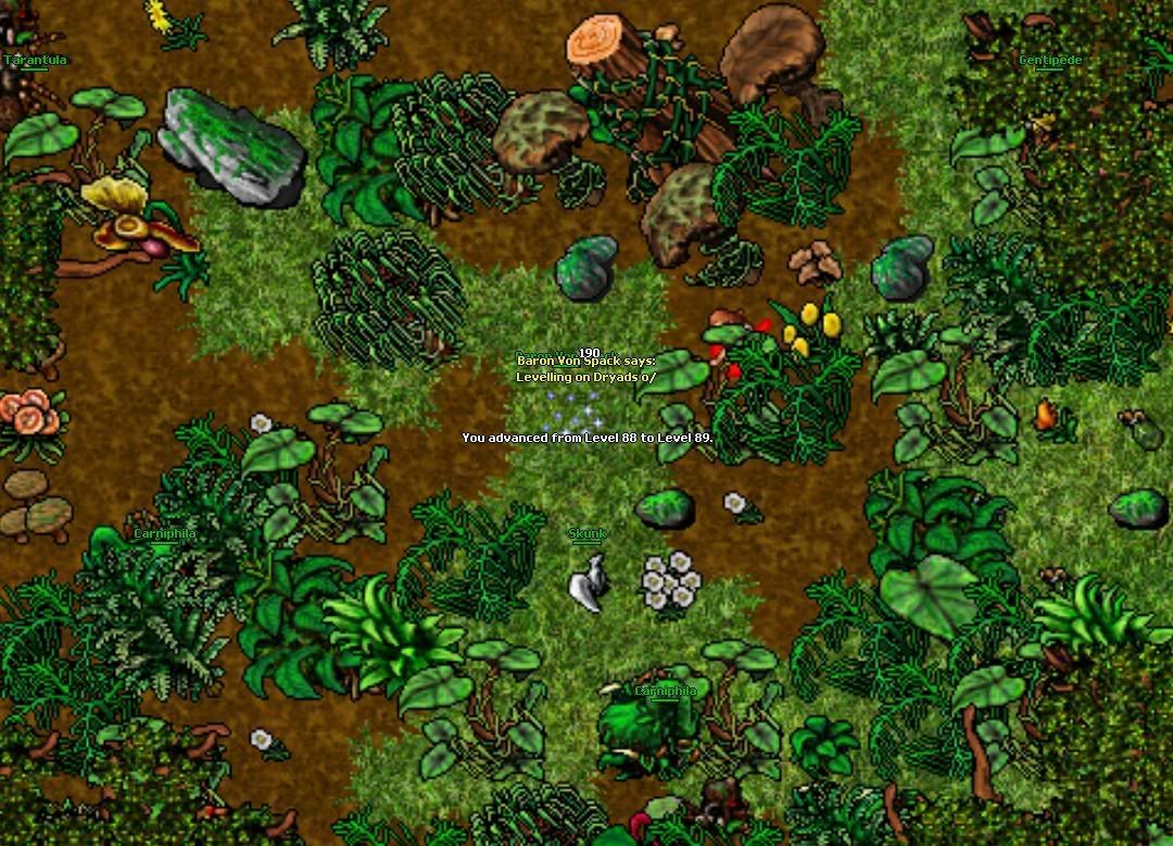 Level 89 photo Level89.jpg