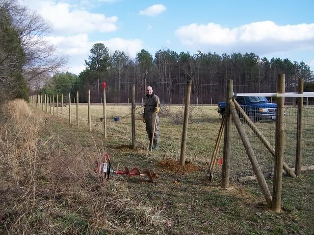 How much to hire just the labor for fencing?? - Homesteading Questions