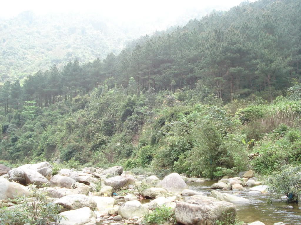 DSC01126.jpg