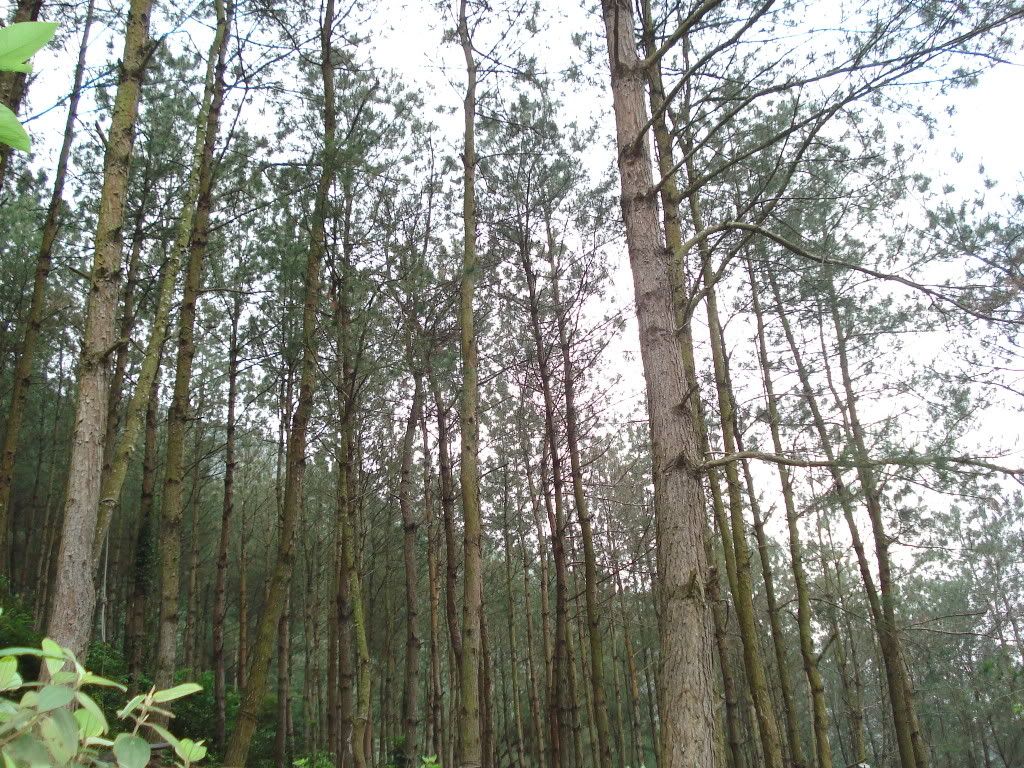 DSC01130.jpg