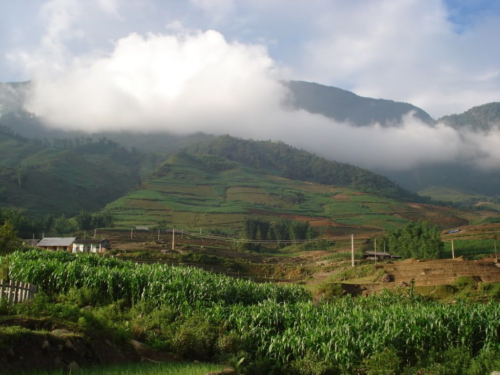 DSC02210.jpg
