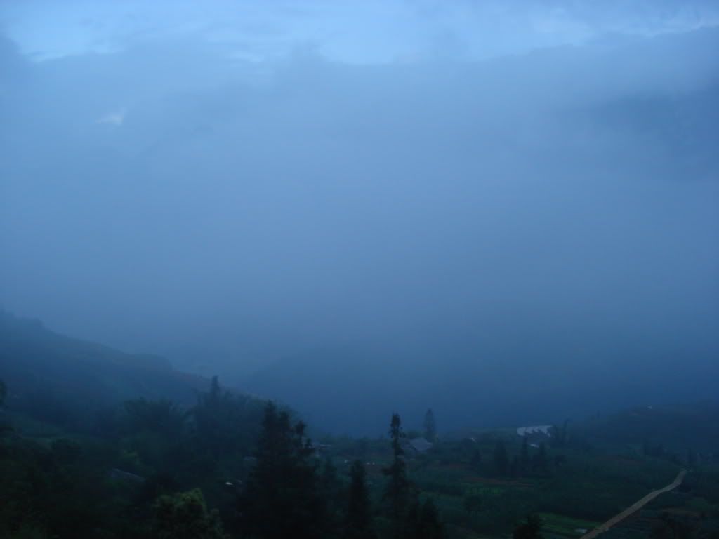 DSC02240.jpg