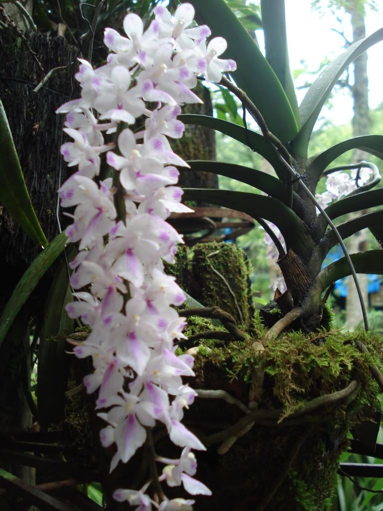 DSC02243.jpg