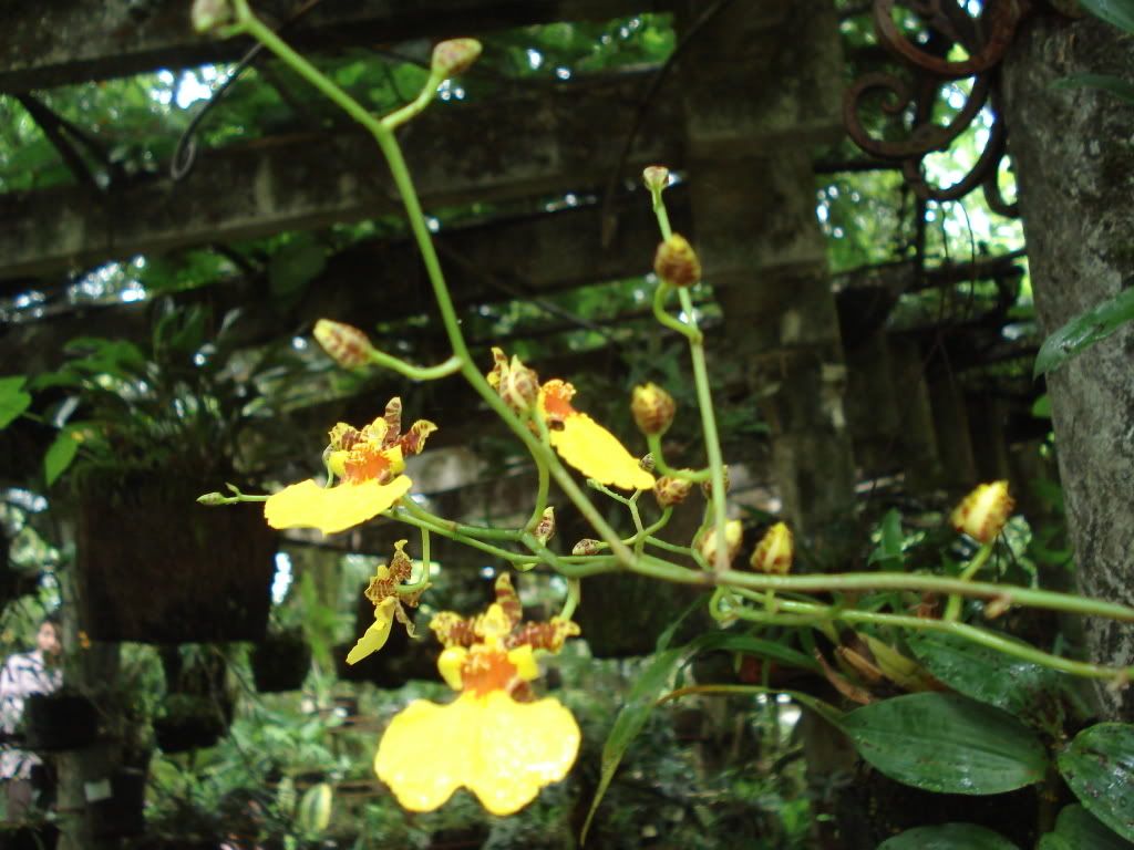 DSC02244.jpg
