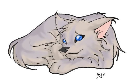anime wolf puppy. picture.