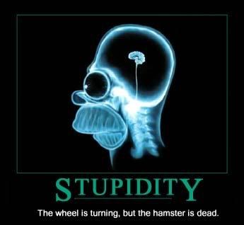Homers brain photo: homers brain Stupidity.jpg