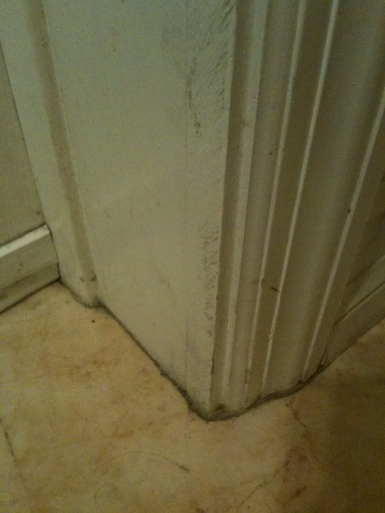 Dirty Trim/Tile Connection