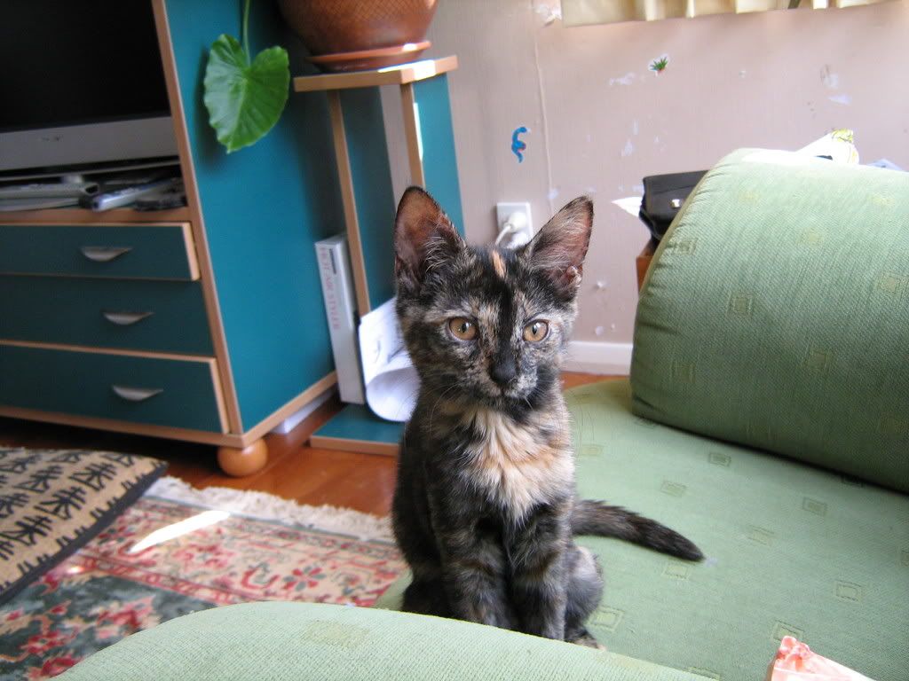 Picture127.jpg