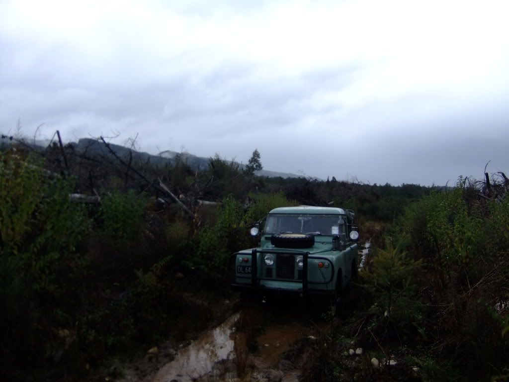 DSCF2407-1.jpg