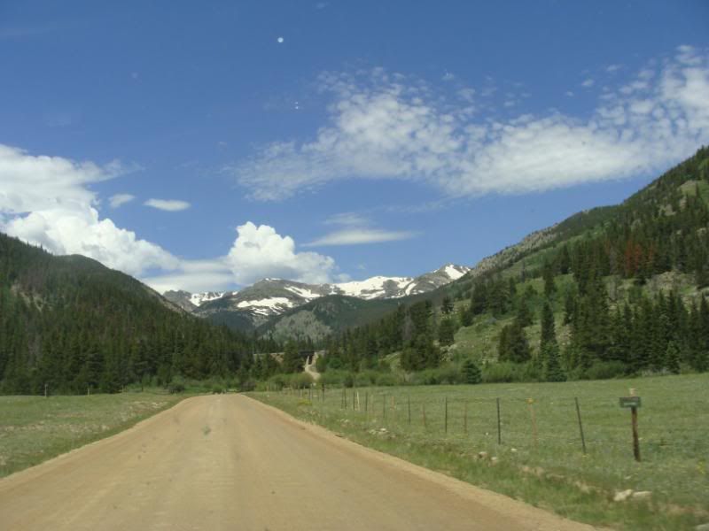 DSC01388-1.jpg