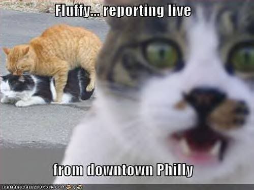 funny-pictures-reporting-live-phill.jpg