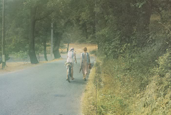 Photography by David Hamilton