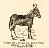 Delineator Magazine - 1888  Pattern for a Donkey