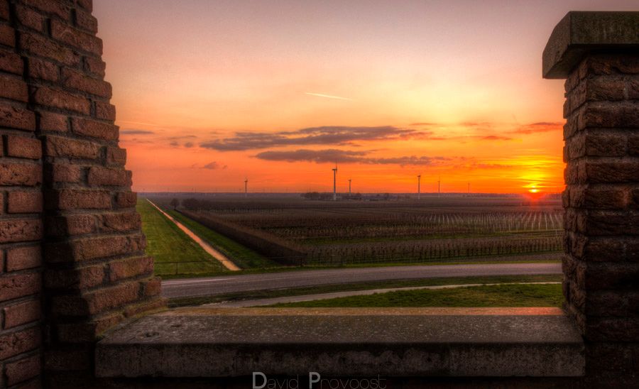 Fotografie