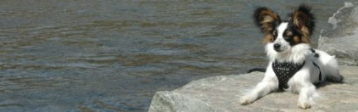 photo f415b2f0-f286-417f-9ede-5f4bbd699b3d_zpsb0025208.jpg