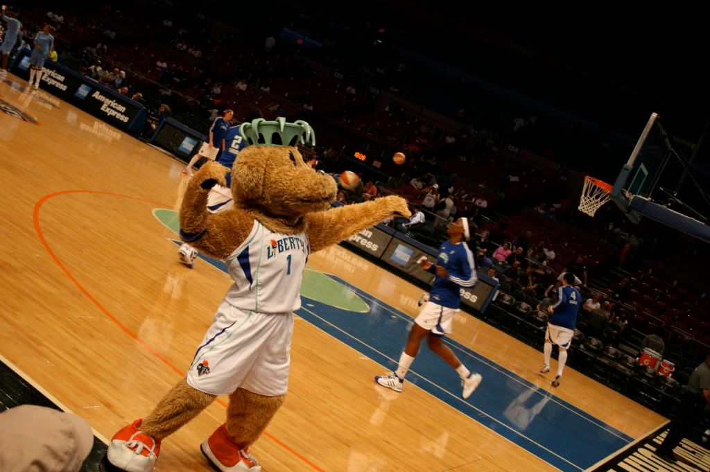 WNBA, women's basketball, NY Liberty, Madison Square Garden, family entertainment