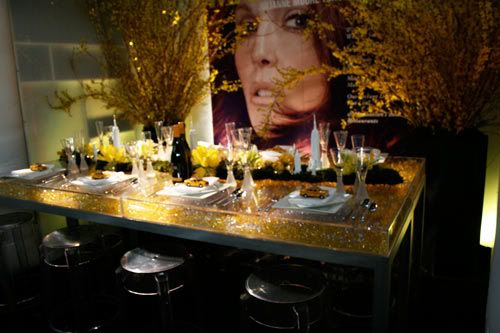 DIFFA 2010, DIFFA 2010 photos, modern design, modern table tops, entertain, modern chic table top