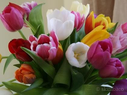 decorate with flowers, flower photos