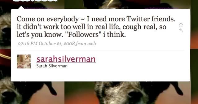 sarah silverman, twitter,