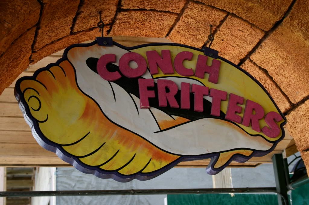 conch, bahamas, conch fritters,