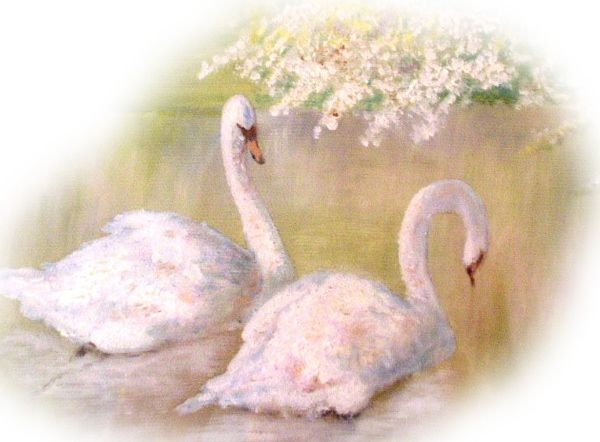 Gran's Swans