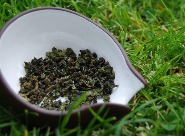 2009 Nada Tieguanyin