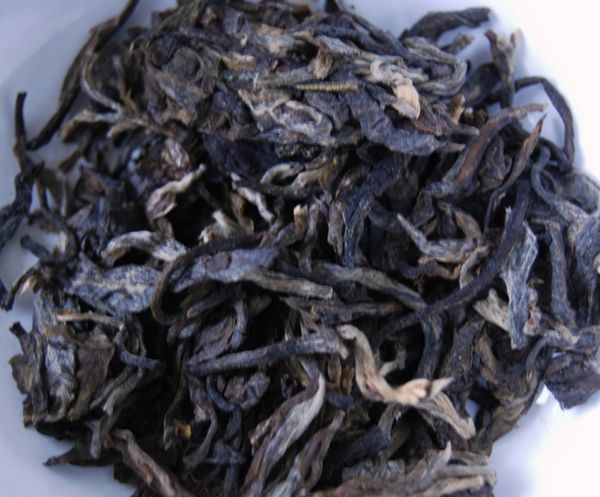 2010 Mengku Jinqiao Bainian Laoshu