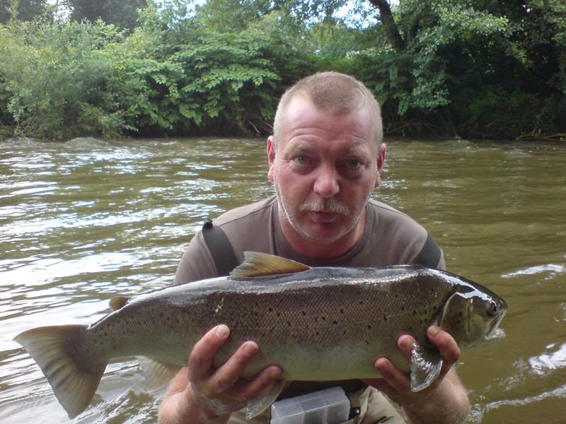 Slob Trout/Estuary Trout Fly Fishing Forum