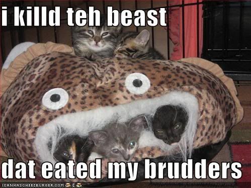 funny-pictures-cat-killed-beast-tha.jpg