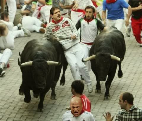 bulls-running-pamplona.jpg