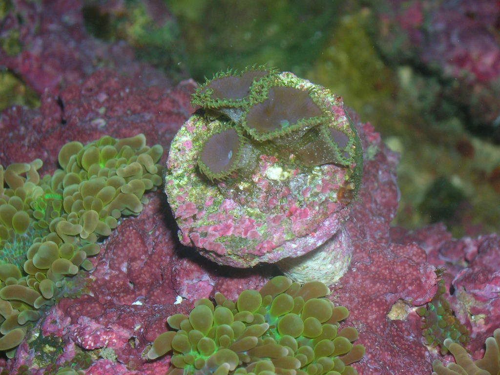 DSCN7520.jpg