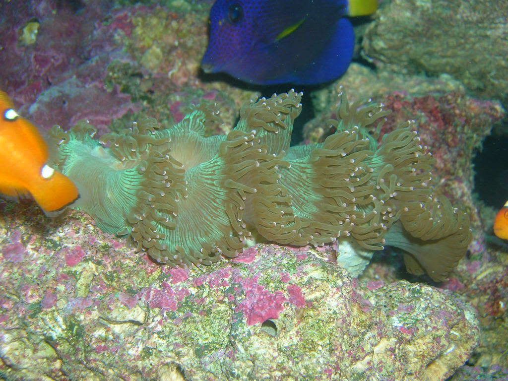 DSCN7530.jpg