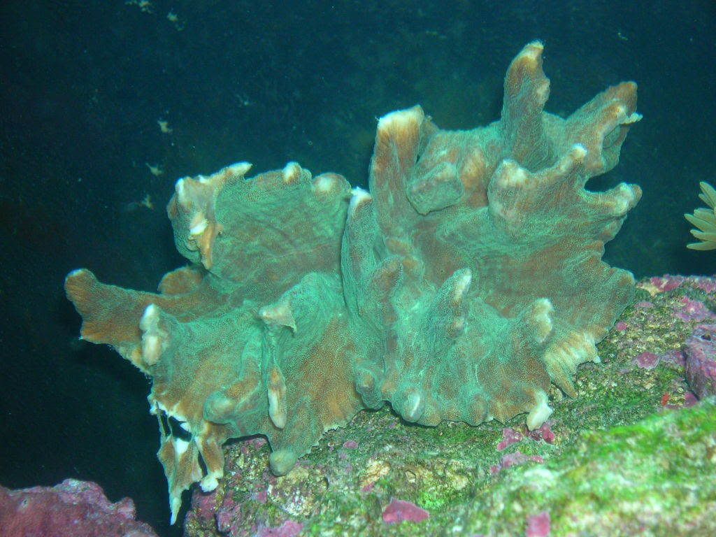 DSCN7531.jpg