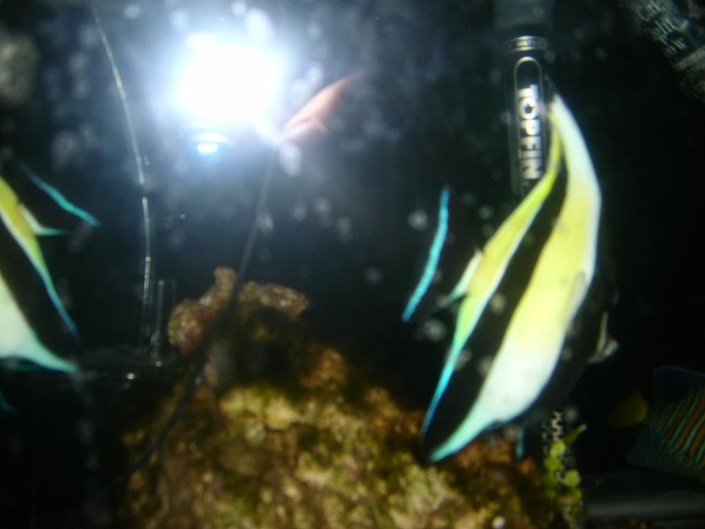Picture041.jpg