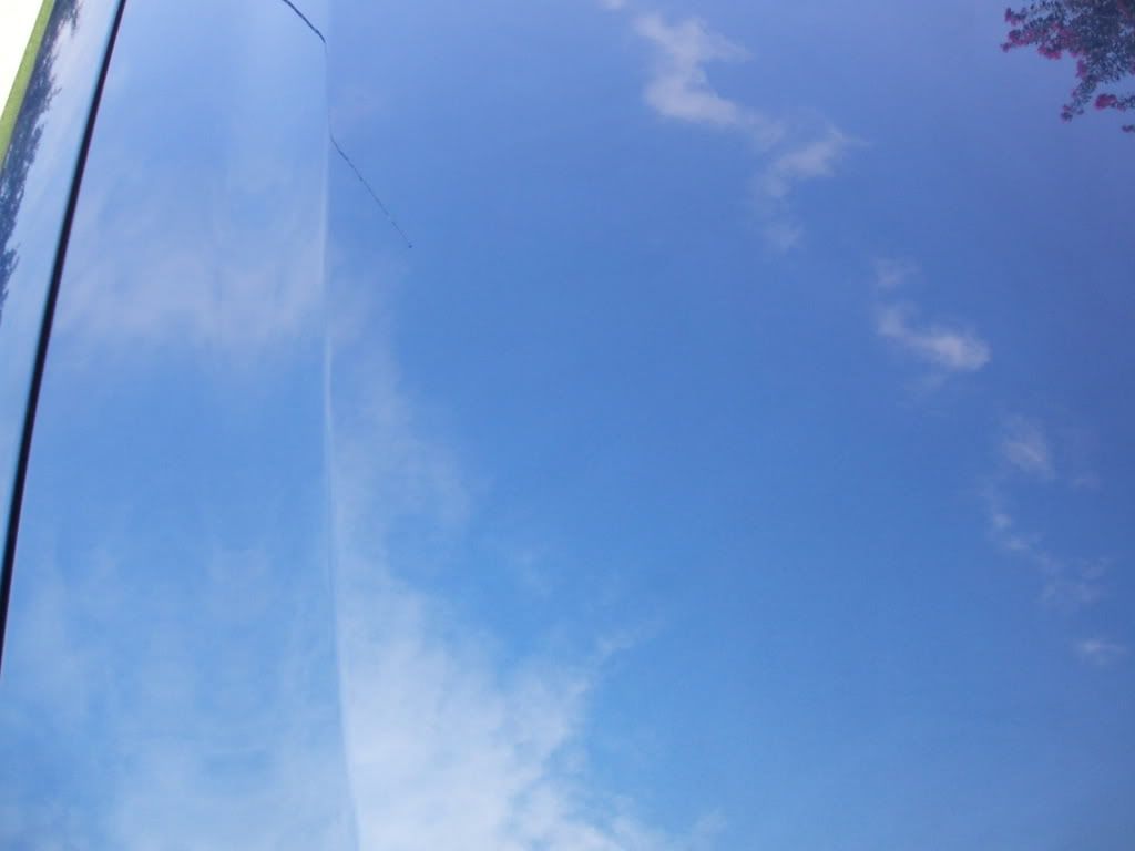2007_1003Image0123.jpg