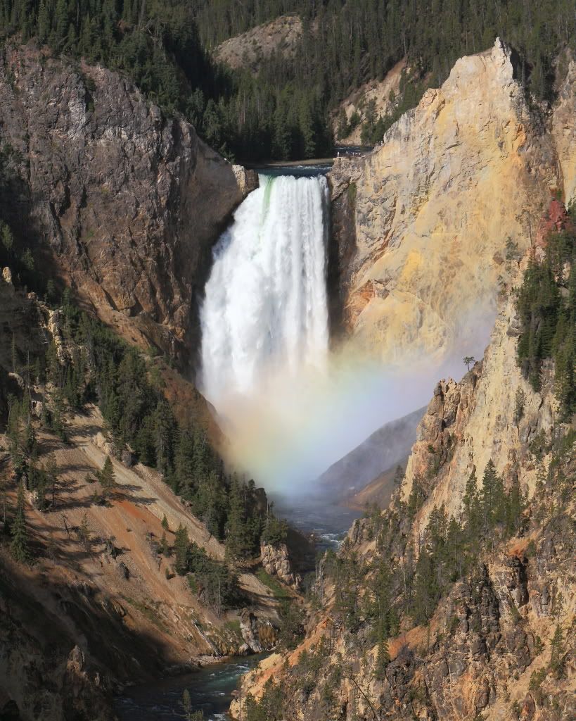 IMAGE: http://i156.photobucket.com/albums/t31/will227457/forenlargement.jpg